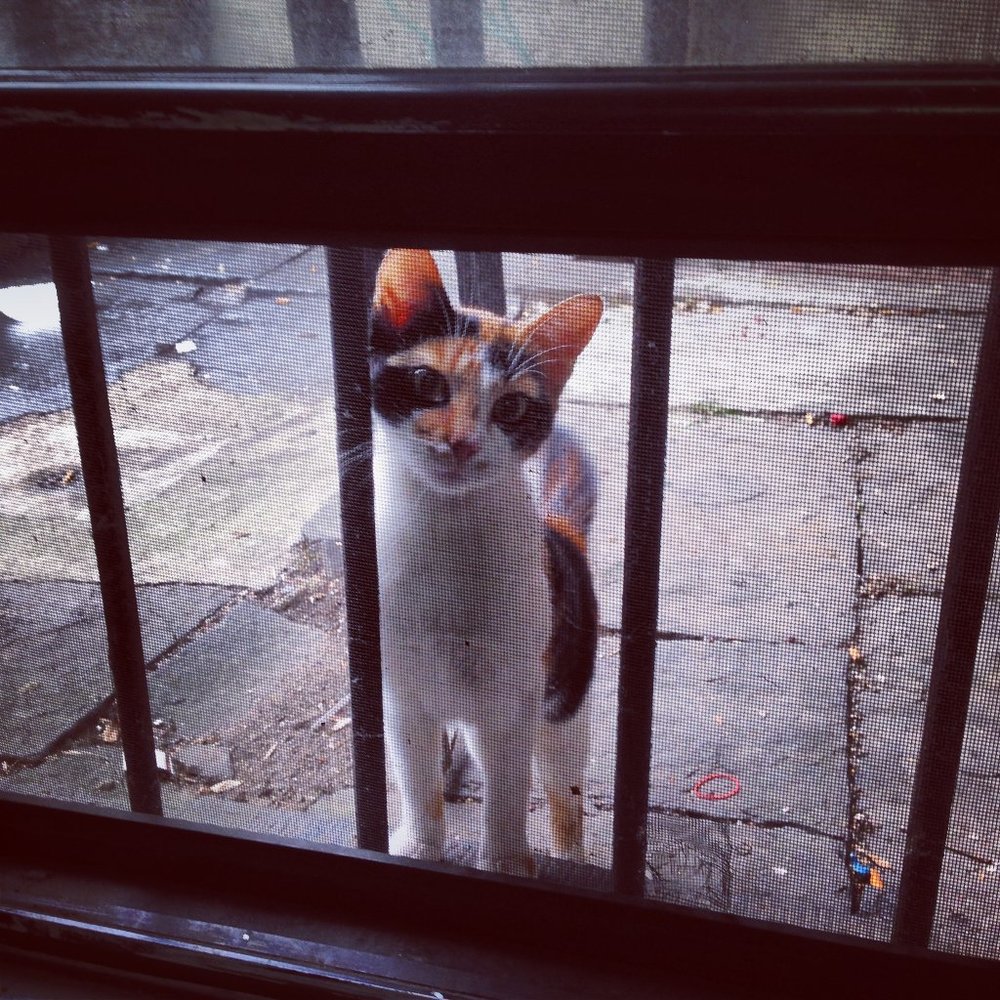 Hey Poshers, i'm Rachel 🙏